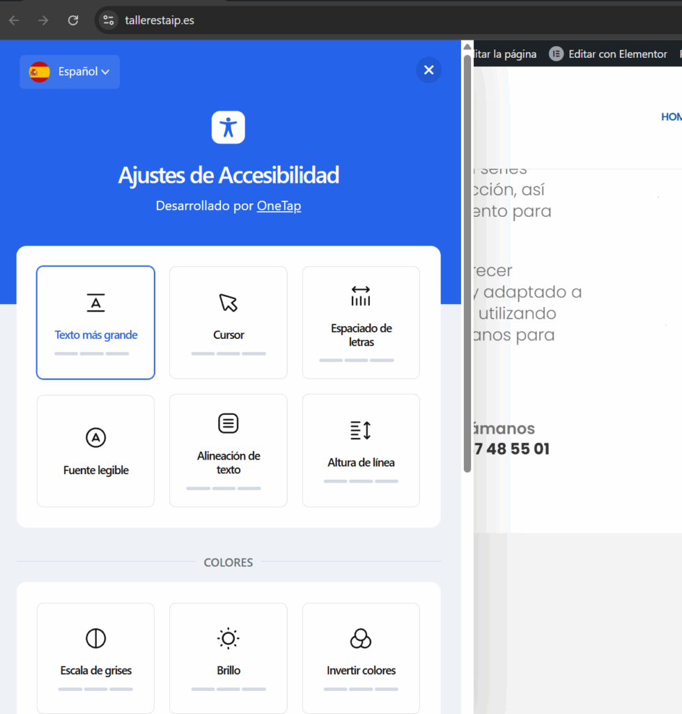 panel ajustes accesibilidad